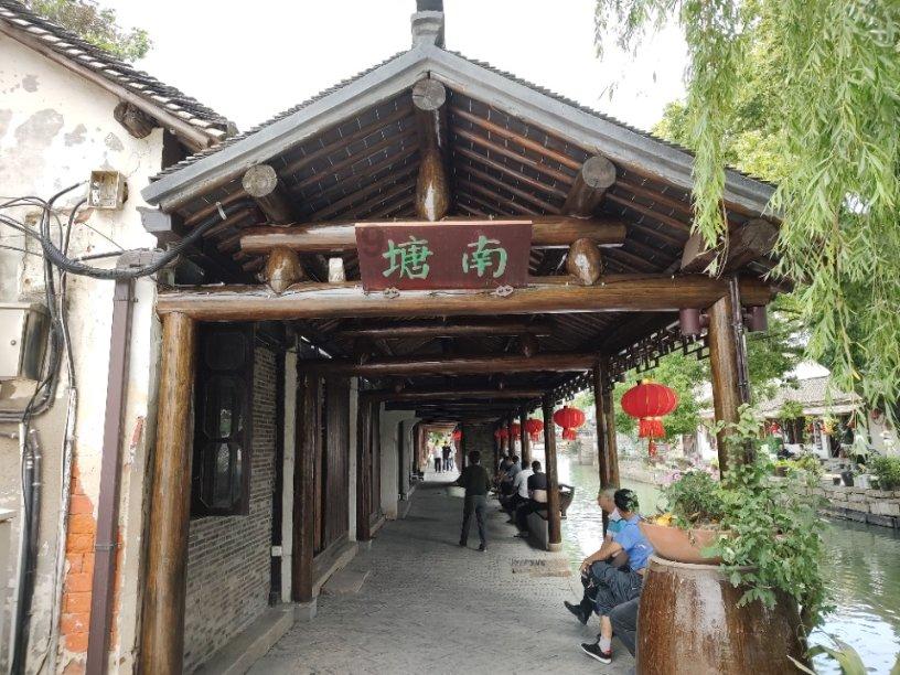 交流无忧-我家的君子兰现在为什么会开花?有问必答平台